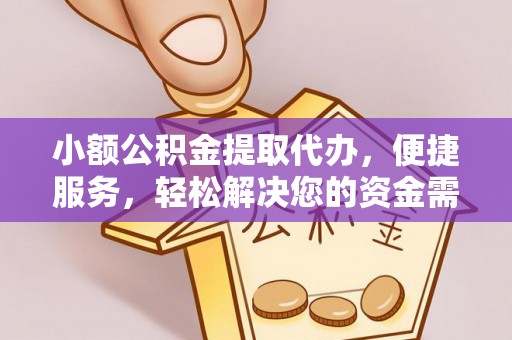 林甸小额公积金提取代办，便捷服务，轻松解决您的资金需求