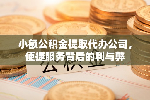 林甸小额公积金提取代办公司，便捷服务背后的利与弊