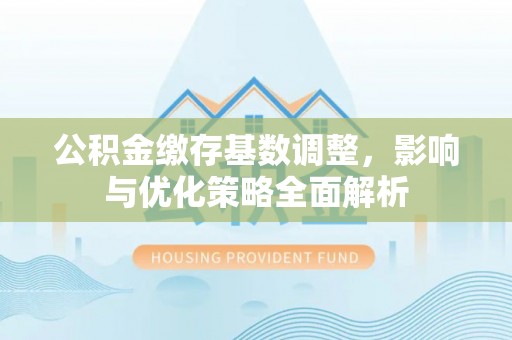 林甸公积金缴存基数调整，影响与优化策略全面解析