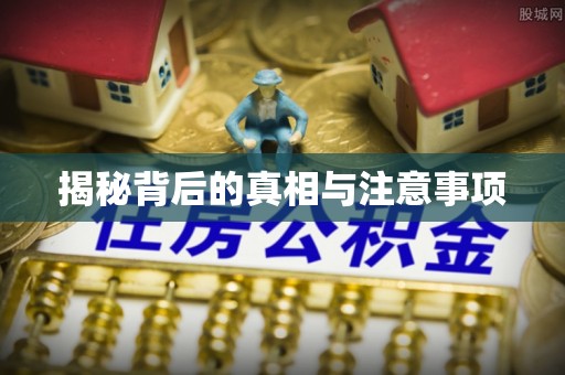 林甸揭秘背后的真相与注意事项