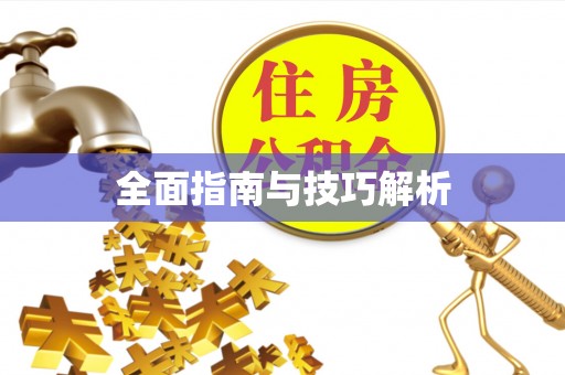 林甸全面指南与技巧解析