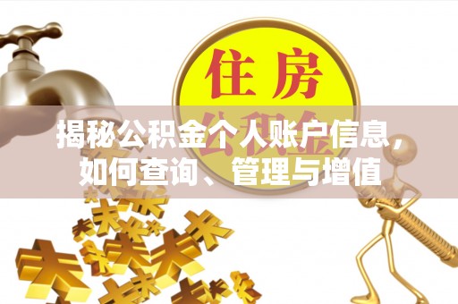 林甸揭秘公积金个人账户信息，如何查询、管理与增值