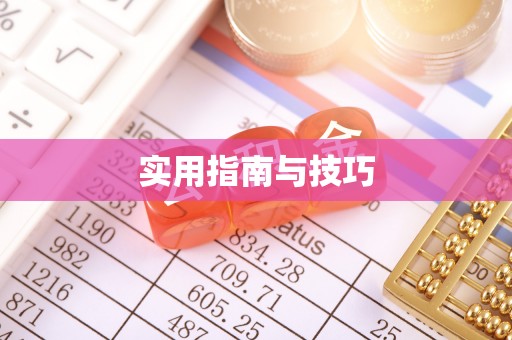 林甸实用指南与技巧