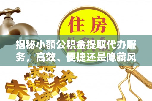 林甸揭秘小额公积金提取代办服务，高效、便捷还是隐藏风险？