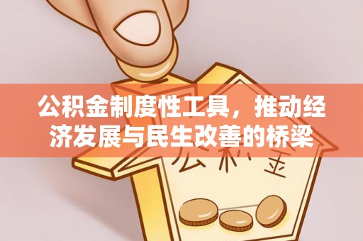 林甸公积金制度性工具，推动经济发展与民生改善的桥梁