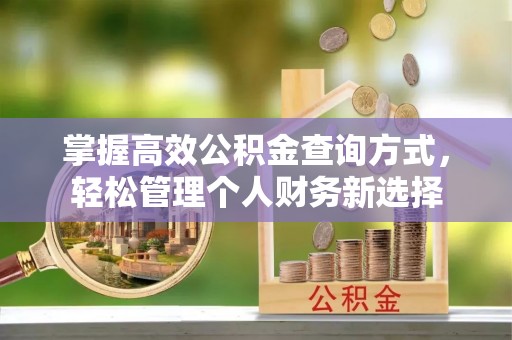 林甸掌握高效公积金查询方式，轻松管理个人财务新选择