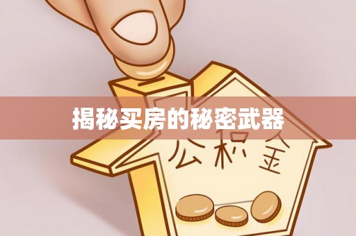 林甸揭秘买房的秘密武器