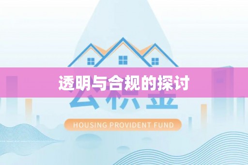 林甸透明与合规的探讨