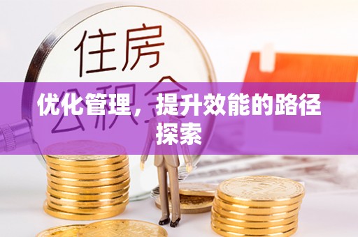 林甸优化管理，提升效能的路径探索