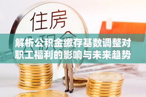 林甸解析公积金缴存基数调整对职工福利的影响与未来趋势