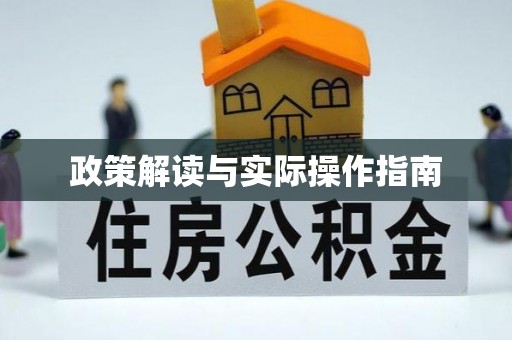 林甸政策解读与实际操作指南