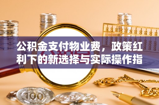 林甸公积金支付物业费，政策红利下的新选择与实际操作指南