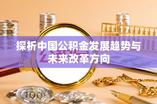 林甸探析中国公积金发展趋势与未来改革方向