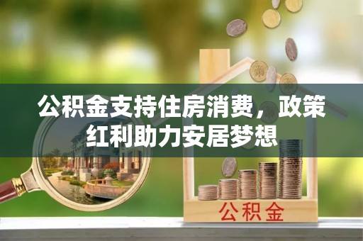 林甸公积金支持住房消费，政策红利助力安居梦想