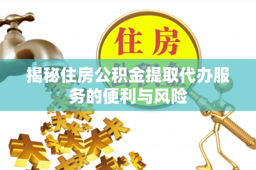 林甸揭秘住房公积金提取代办服务的便利与风险