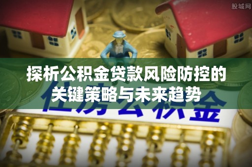 林甸探析公积金贷款风险防控的关键策略与未来趋势