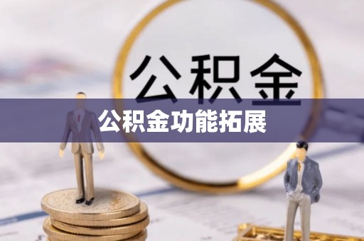 林甸公积金功能拓展