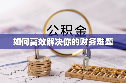 林甸如何高效解决你的财务难题