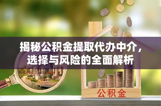 林甸揭秘公积金提取代办中介，选择与风险的全面解析