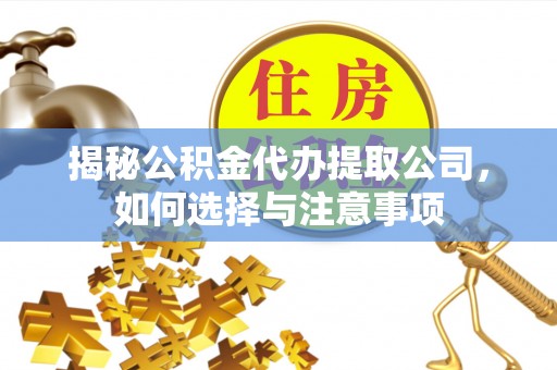 林甸揭秘公积金代办提取公司，如何选择与注意事项