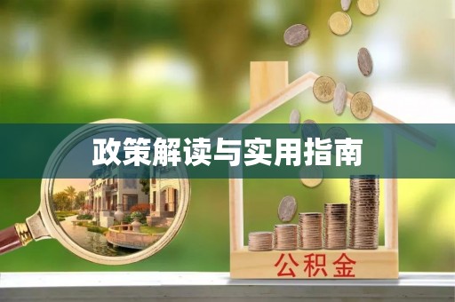 林甸政策解读与实用指南