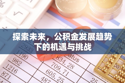 林甸探索未来，公积金发展趋势下的机遇与挑战