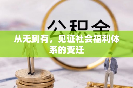 林甸从无到有，见证社会福利体系的变迁