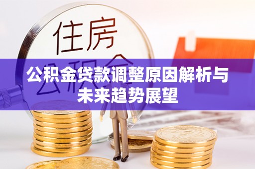 林甸公积金贷款调整原因解析与未来趋势展望