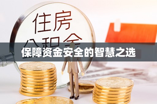 林甸保障资金安全的智慧之选