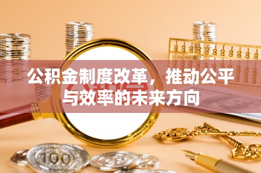 林甸公积金制度改革，推动公平与效率的未来方向