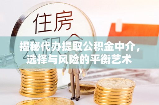 林甸揭秘代办提取公积金中介，选择与风险的平衡艺术