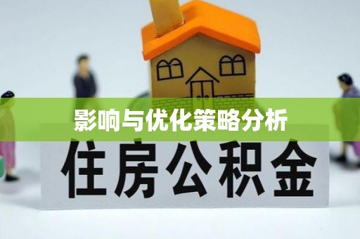 林甸影响与优化策略分析