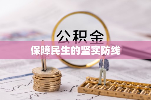 林甸保障民生的坚实防线
