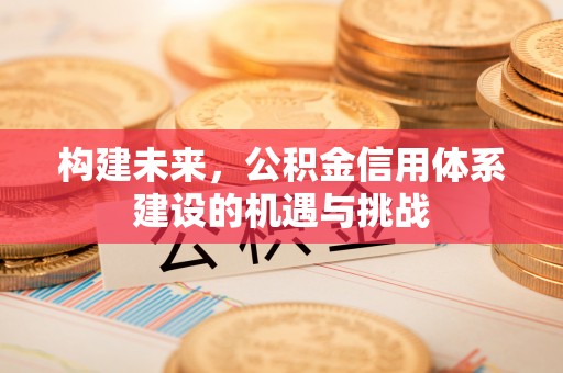 林甸构建未来，公积金信用体系建设的机遇与挑战