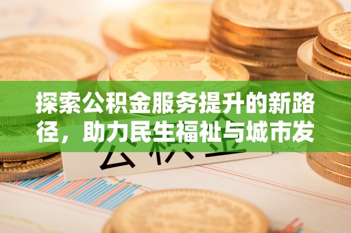 林甸探索公积金服务提升的新路径，助力民生福祉与城市发展
