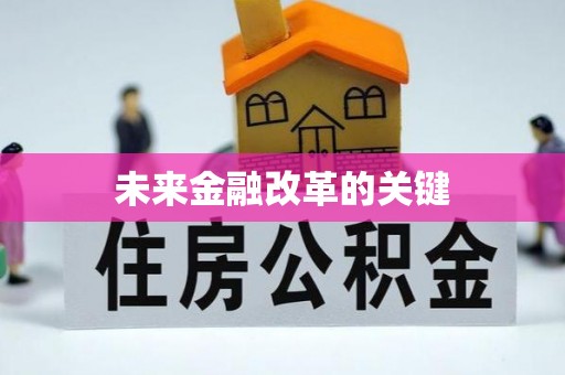 林甸未来金融改革的关键