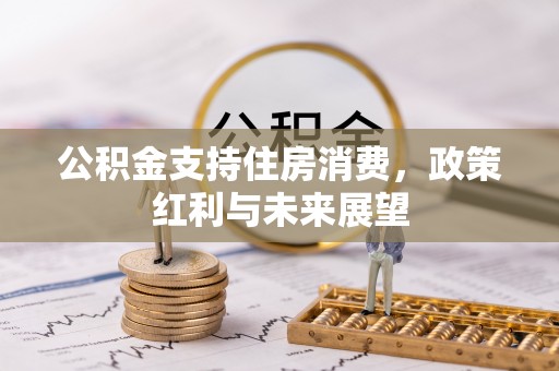 林甸公积金支持住房消费，政策红利与未来展望