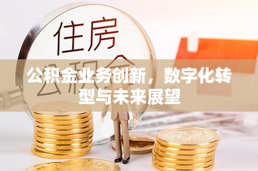林甸公积金业务创新，数字化转型与未来展望