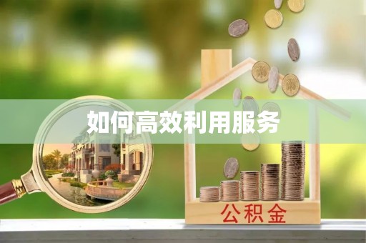 林甸如何高效利用服务