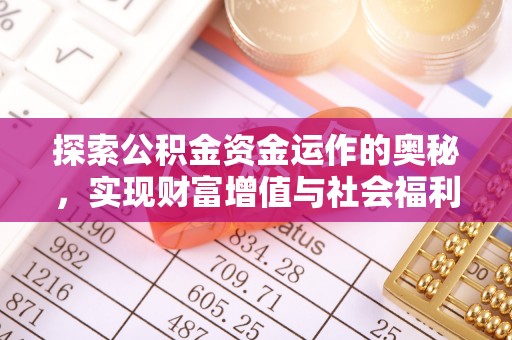 林甸探索公积金资金运作的奥秘，实现财富增值与社会福利双赢