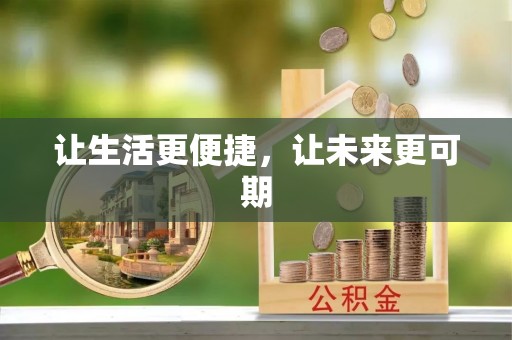 林甸让生活更便捷，让未来更可期