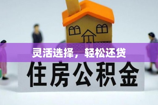 林甸灵活选择，轻松还贷