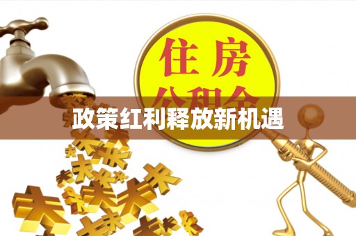 林甸政策红利释放新机遇