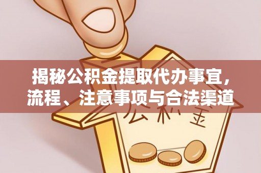 林甸揭秘公积金提取代办事宜，流程、注意事项与合法渠道