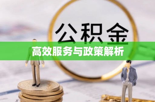 林甸高效服务与政策解析