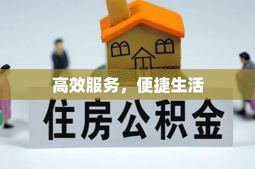 林甸高效服务，便捷生活