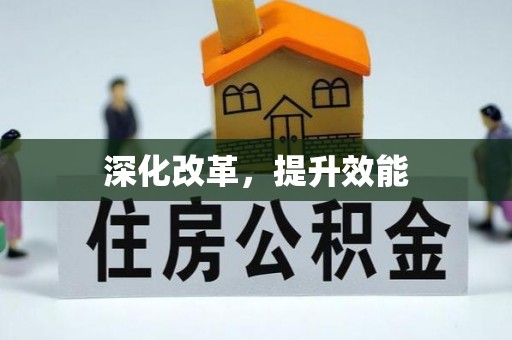 林甸深化改革，提升效能