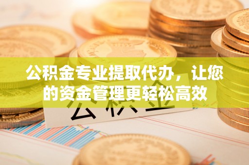 林甸公积金专业提取代办，让您的资金管理更轻松高效