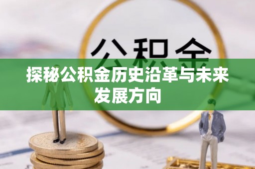 林甸探秘公积金历史沿革与未来发展方向