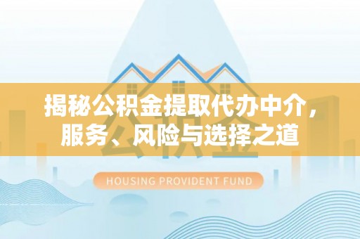 林甸揭秘公积金提取代办中介，服务、风险与选择之道